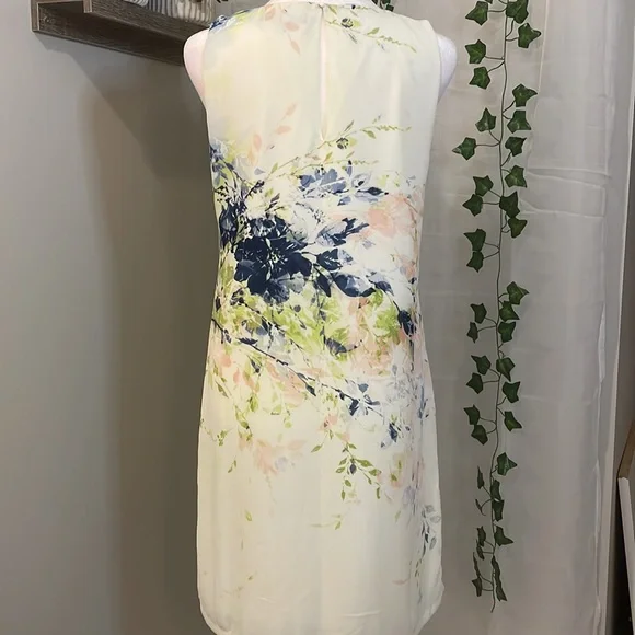 ROSE & OLIVE DRESS • SIZE 2 • CREAM COLOR WITH FLORAL PRINT • LIKE NEW - Picture 6 of 8